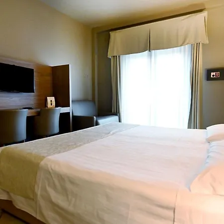 فندق صن فلاور 4*